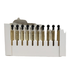 Burberry Signature Botanical Oud Storm Eau de Parfum 10 X 4ml