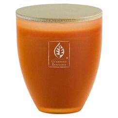 Giardino Benessere Amber Scented Candle in Glass 255G