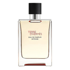 Hermes Terre Dhermes For Men Eau de Parfum Intense Refillable 100ml