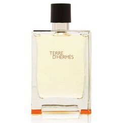 Hermes Terre D'Hermes For Men Eau de Toilette 100ml
