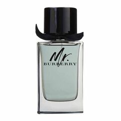 Burberry Mr. Burberry For Men Eau de Toilette 150ml
