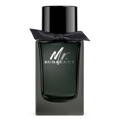 Burberry Mr. Burberry Eau de Parfum 100ml