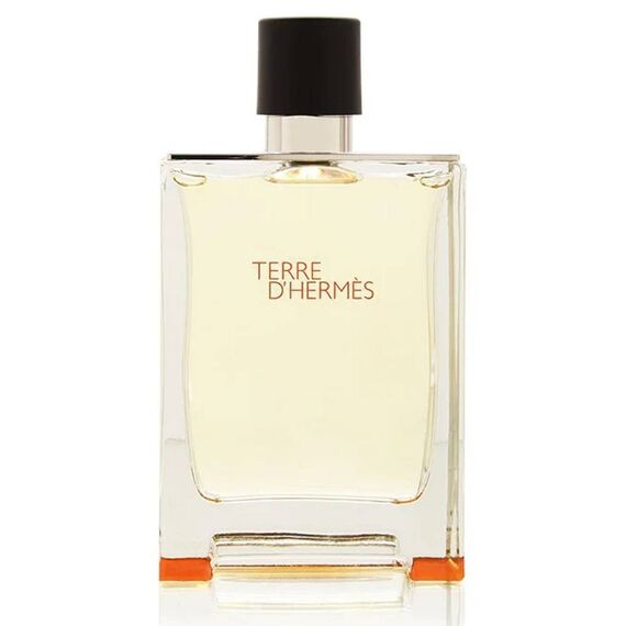 Hermes Terre D'Hermes For Men Eau de Toilette 100ml