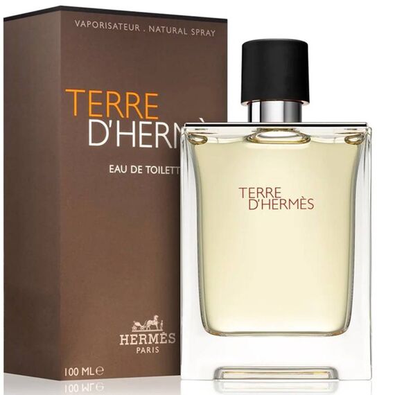 Hermes Terre D'Hermes For Men Eau de Toilette 100ml, 2 image