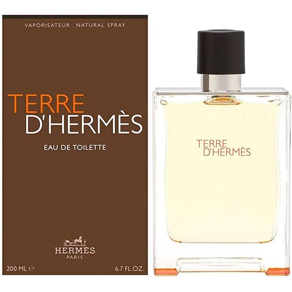 Hermes Terre D'Hermes For Men Eau de Toilette 200ml, 2 image