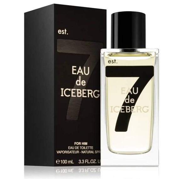 Iceberg Eau De Iceberg Pour Homme Eau de Toilette 100ml, 3 image