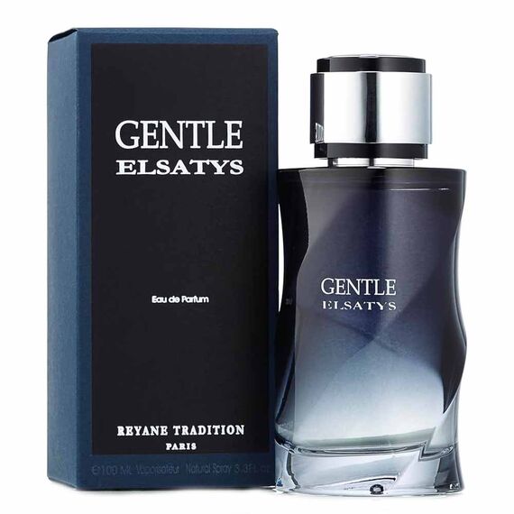 Reyane Tradition Gentle Elsatys For Men Eau De Parfum 100ml, 3 image