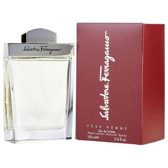 Salvatore Ferragamo Pour Homme Eau De Toilette 100ml, 3 image