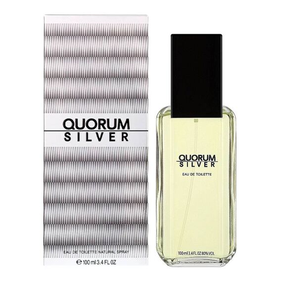 Antonio Puig Quorum Silver For Men Eau De Toilette 100ml, 2 image