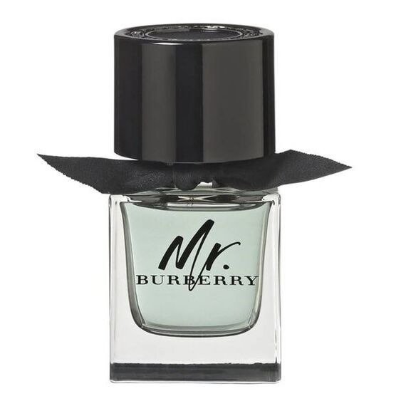 Burberry Mr. Burberry For Men Eau de Toilette 50ml