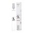 Calvin Klein Ck Everyone Eau de Parfum 10ml, 2 image