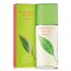 Elizabeth Arden Green Tea Summer For Women Eau De Toilette 100ml, 2 image