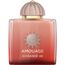 Amouage Guidance 46 Extrait De Parfum 100ml