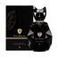 Tonino Lamborghini Ginevra Black For Women Eau de Parfum 50ml, 2 image