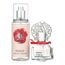 Vince Camuto Amore For Women Eau De Parfum 30ml + Fragrance Mist 122ml