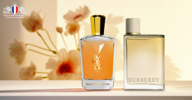 Top 10 November's Best-Selling Branded Perfumes for Women